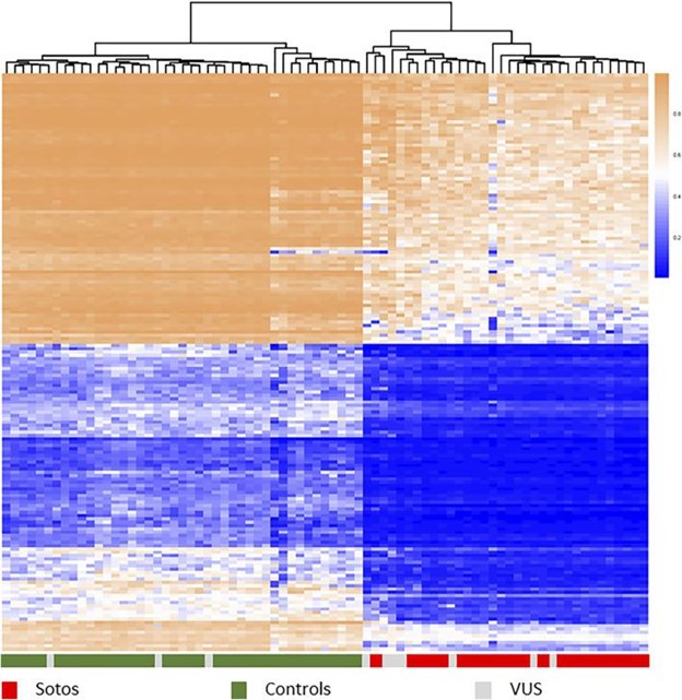 【佳学基因检测】在临床诊断中如何介绍和使用 DNA 甲基化 (DNAm) 阵列基因检测